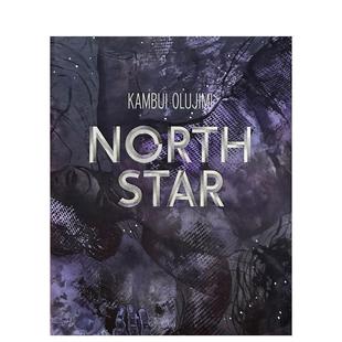 【现货】坎布伊·奥卢吉米：北极星 Kambui Olujimi: North Star 原版英文艺术画册画集图书书籍