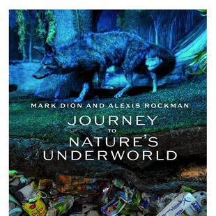 迪翁 英文艺术画册画集图书 Rockman原版 Mark 预售 马克 Dion 洛克曼 亚历克西斯 Alexis 大自然 and 地下世界之旅