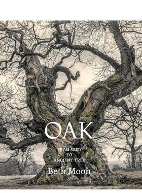 【预售】橡树：从种子到古树 Oak: From Seed to Ancient Tree 原版英文摄影作品集自然景观图书