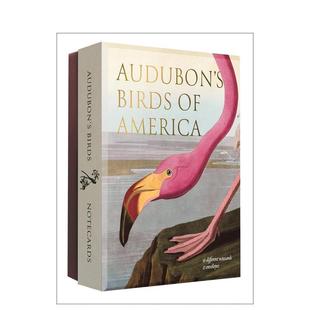 【预售】奥杜邦的美国鸟类:阿贝维尔感谢卡套装 Audubon's Birds of America:An Abbeville Notecard Set 原版明信片图书