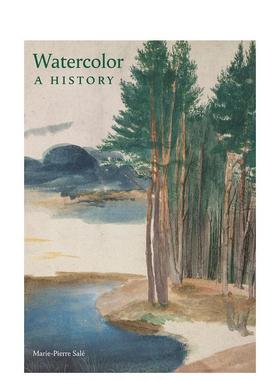 【现货】水彩 Watercolor: a History 原版英文艺术画册画集图书