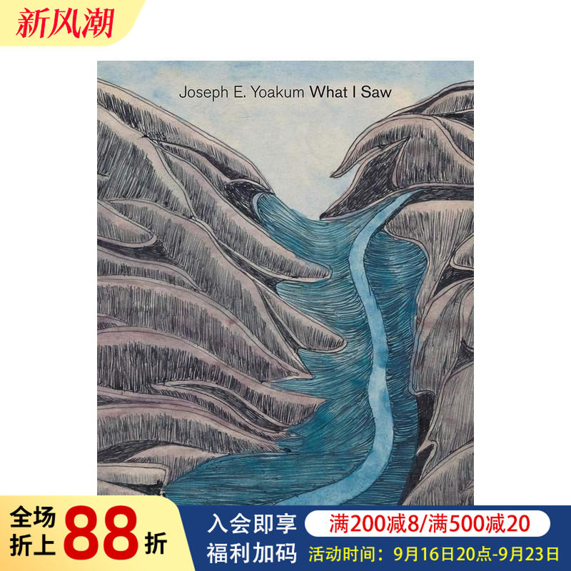 【现货】约瑟夫·e·尤库姆:我所看到的 Joseph E. Yoakum: What I Saw 原版英文艺术画册画集图书