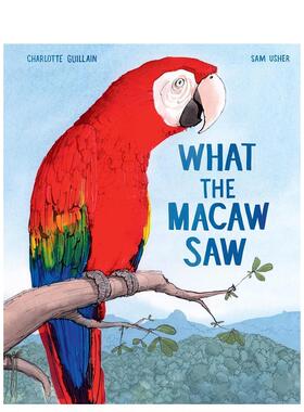 【预售】鹦鹉看到了什么 What the Macaw Saw 原版英文儿童绘本图书