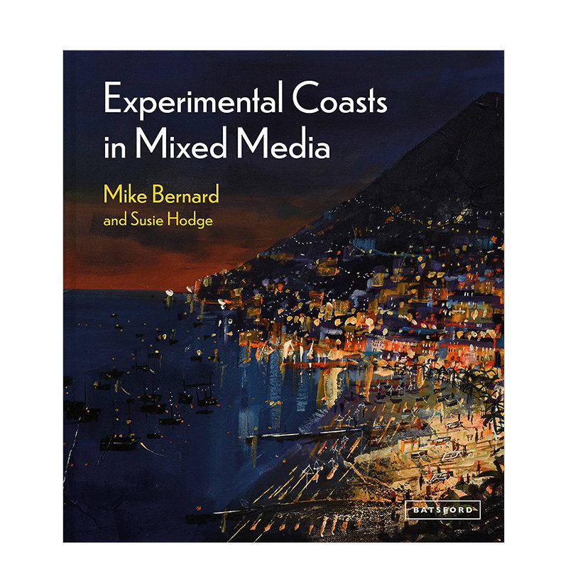 experimental coasts in mixed media 英文原版艺术美术装置创作创意