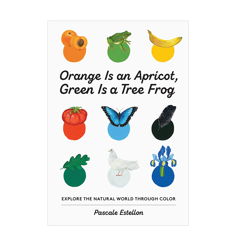 【预售】橙是杏，绿是树蛙Orange Is an Apricot, Green Is a Tree Frog 3-6岁儿童视觉色彩启蒙绘画绘本画集 英文原版 进口图书