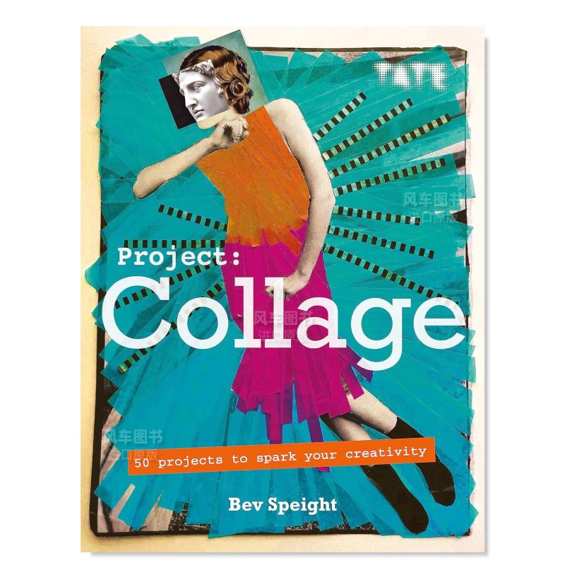 项目拼贴50个激发创造力的Pr