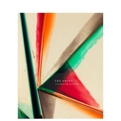 【现货】日裔美国艺术家Leo Amino：可见与不可见 Leo Amino: The Visible and the Invisible 原版英文艺术画册画集图书书籍