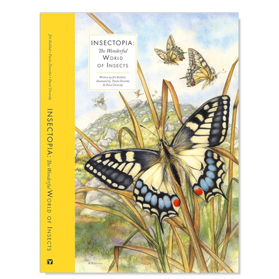 昆虫世界奇妙的Insectopia