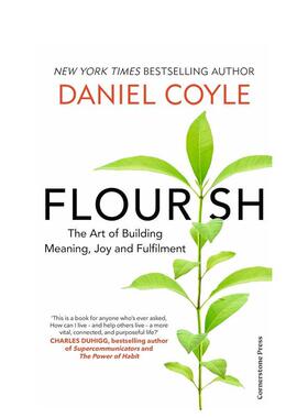 【预售】蓬勃发展：构建意义、快乐和成就的艺术 Flourish 原版英文生活综合图书