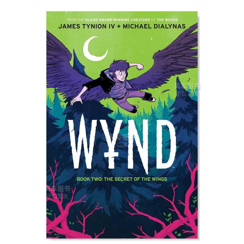 翅膀的秘密 (2) wynd book two: the secret of the wings (2)英文