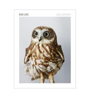 预售 原版 鸟之爱 Love 英文摄影作品集自然景观图书 Bird