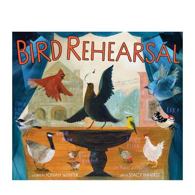 【预售】鸟儿的排练 纽约时报十佳绘本创作组合 Bird Rehearsal 英文原版儿童绘本故事书3-6岁进口英语启蒙读物书籍