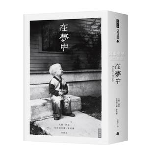 艺术原版 在梦中台版 图书进口繁体书籍David Lynch McKenna Kristine 预售