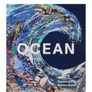 【现货】海洋：探索海洋世界 Ocean: Exploring the Marine World 原版英文社会科学图书