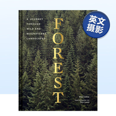 Forest森林树木自然摄影集