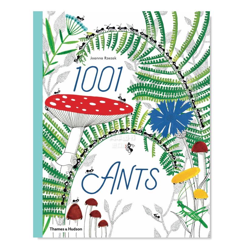 1001Ants，1001只蚂蚁英文儿童