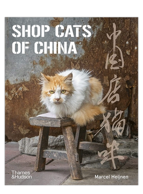 中国店猫咪ShopCatsOfChina