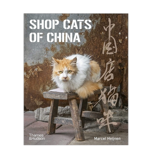 【现货】中国店猫咪 Shop Cats Of China 街头店铺猫猫摄影集 摄影师Marcel Heijnen 英文原版进口画册书籍艺术