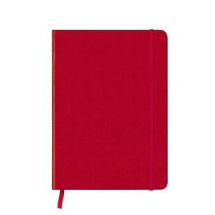 Medium 笔记本Notebook图书书籍 原版 Rose 现货 CoolNotes 中号 22cm 红色 Red 笔记本 Argyle