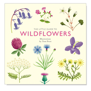 【预售】【袖珍插画指南】野花 【Little Guides】Wildflowers 英文插画原画设定集原版图书外版进口书籍 Davies, Alison