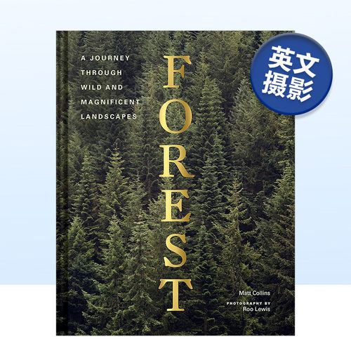 Forest森林树木自然摄影集