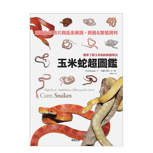 【预售】玉米蛇超图鉴：简单了解玉米蛇的饲养要诀 台版原版蛇类饲养指南繁体中文原版进口图书 养蛇环境管理繁殖百科 东贩出版