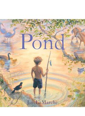 【预售】池塘 Pond 原版英文儿童绘本图书