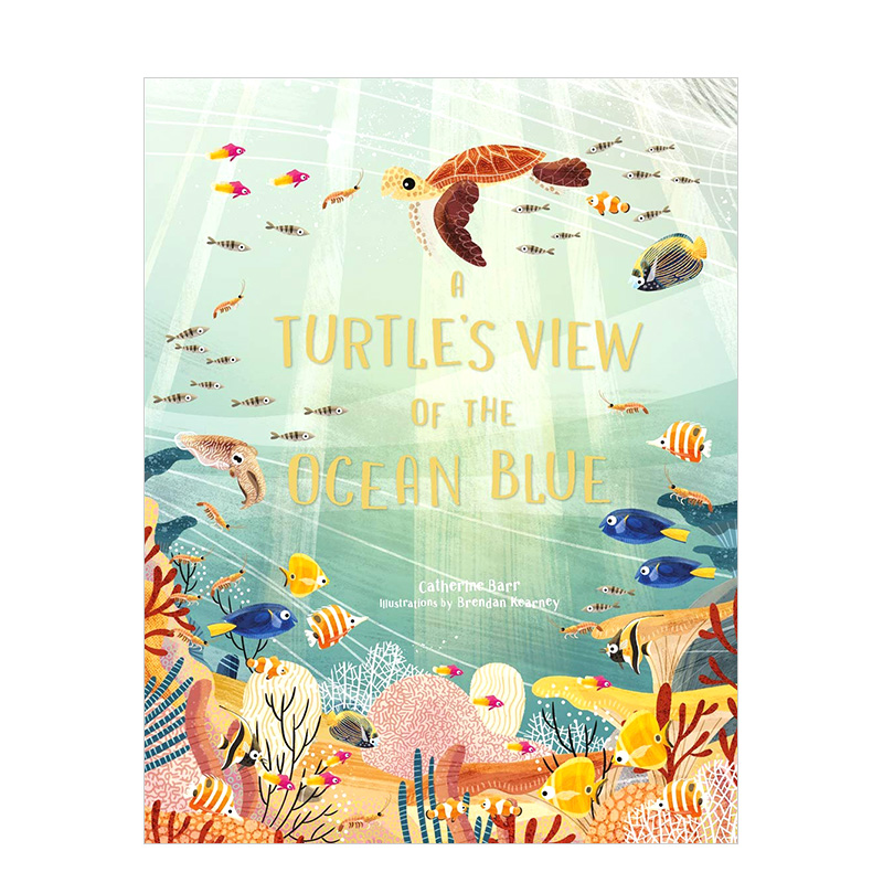 【预售】海龟眼中的海洋A Turtle‘s View of the Ocean Blue 6-12岁海底世界奇妙视觉趣味英文故事绘本 生物科普早教书籍进口原