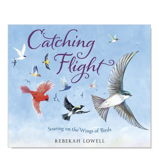 【预售】抓紧时间飞行 Catching Flight英文儿童绘本原版图书进口外版书籍LOWELL, REBEKAH