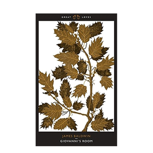 【预售】乔凡尼的房间 Giovanni's Room (Penguin Great Loves) 詹姆斯·鲍德温James Baldwin 英文原版文学小说书籍 企鹅经典