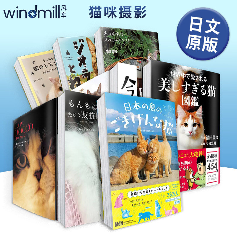 日本岛上可爱的猫写真集图片