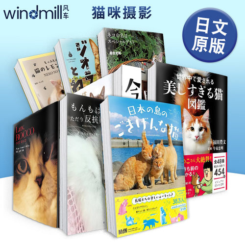 日本岛上可爱的猫写真集