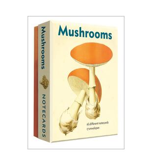 【预售】蘑菇图鉴:阿贝维尔明信片套装 Mushrooms 原版明信片图书