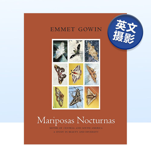 夜蝶：中美洲和南的飞蛾关于丽