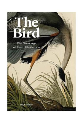【现货】鸟：鸟类插画的伟大时代 The Bird : The Great Age of Avian Illustration 原版英文艺术插画原画设定集进口图书