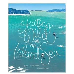 在内海疯狂滑冰SkatingWildo