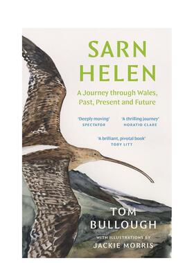 【预售】【2023温莱特奖长名单】Sarn Helen:A Journey Through Wales,Past,Present and Future 英文原版小说书籍文学英语读物