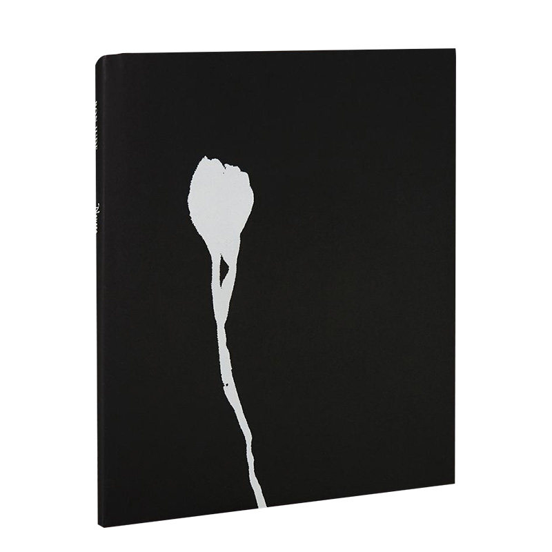 【现货】nausea恶心眩晕 摄影师ron jude单调空间和物体视觉传达作品