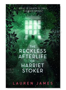 【现货】鲁莽的来世 Reckless Afterlife  英文原版进口外版图书