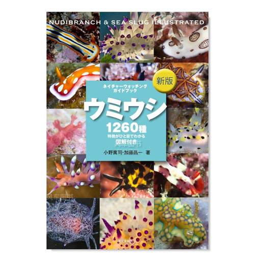 海蛞蝓图鉴新版ウミウシ