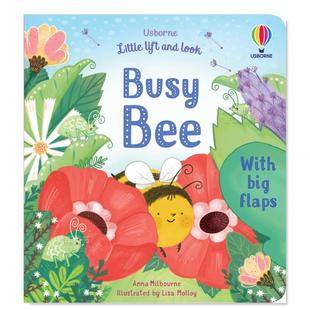 繁忙 6岁 儿童翻翻书3 Look 现货 翻翻书 Busy Little 蜜蜂 英文原版 Lift Bee and