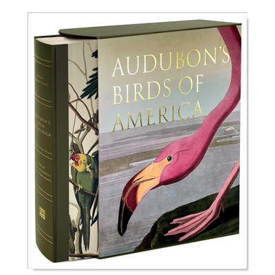 奥杜邦的美洲鸟AUDUBON'SBIRD