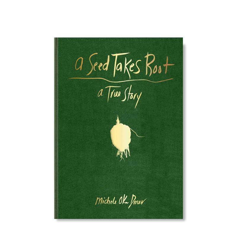 一粒种子生根发芽 艺术家Michele Oka Doner