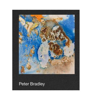 预售 原版 彼得·布拉德利 Bradley 英文艺术画册画集图书 Peter