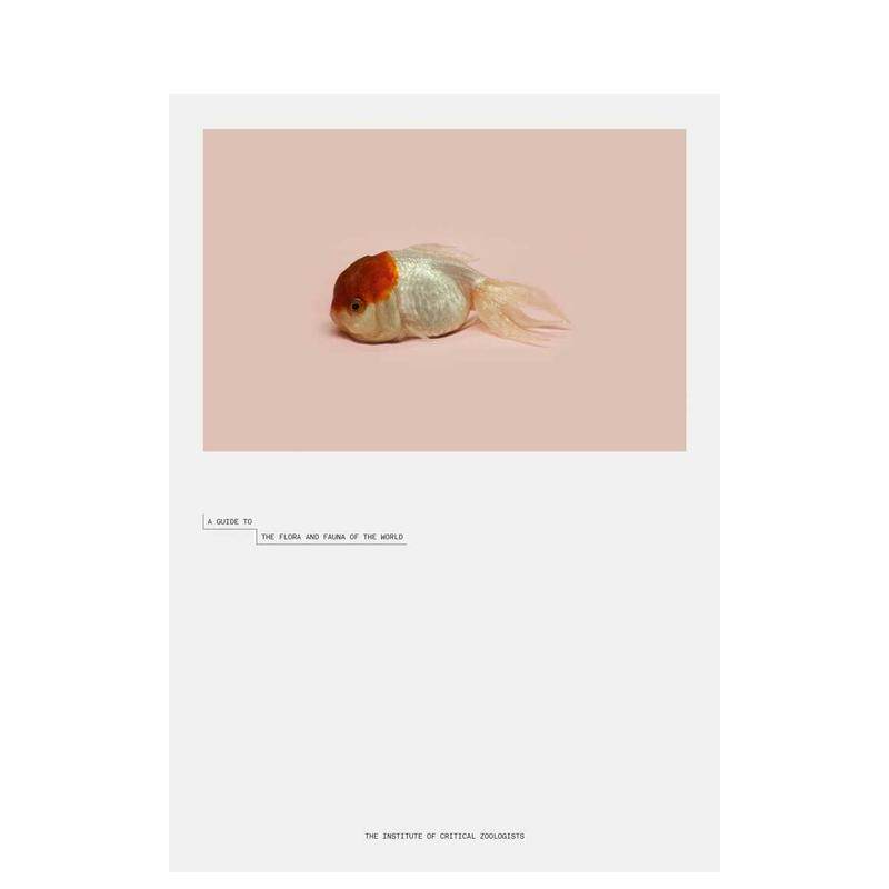 【现货】赵仁辉:世界动植物漫游指南 Robert Zhao Renhui: A Guide to the Flora and Fauna of the World 原版英文摄影图书