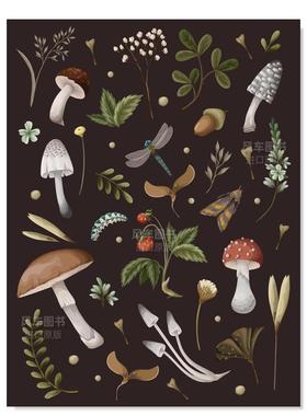 【预售】横条笔记本 - 蘑菇图案 Mushroom Lined Journal笔记本原版外版进口Editors of Chartwell Books