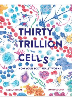 【现货】30万亿个细胞:人体是如何运作的 Thirty Trillion Cells: How Your Body Really Works英文儿童绘本原版图书进口书籍Isab
