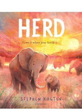 【现货】族群 HERD 原版英文儿童绘本图书书籍