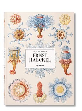 【现货】恩斯特·海克尔 Ernst Haeckel 原版英文艺术画册画集进口图书