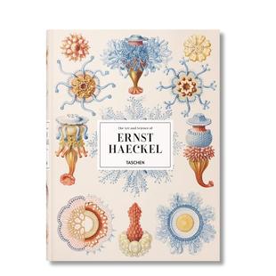 现货 Ernst 恩斯特·海克尔 英文艺术画册画集进口图书 Haeckel 原版